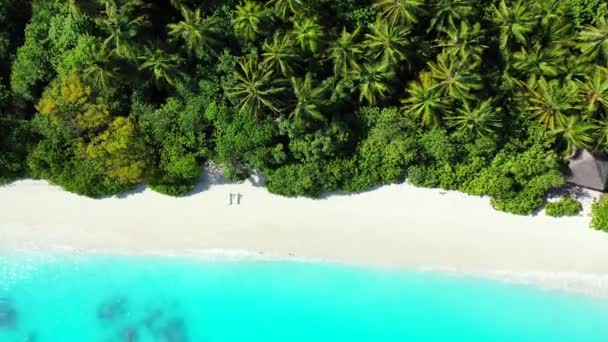 Eau Turquoise Peu Profonde Avec Île Verte Autour Vue Sur — Video