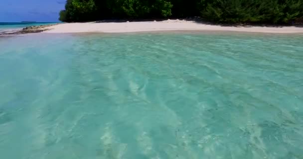 Transparent Water Shore Travel Hawaii Usa — Stock Video