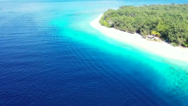 Vista Aérea Drone Paisagem Praia Areia Tropical Ilha Das Maldivas — Vídeo de Stock