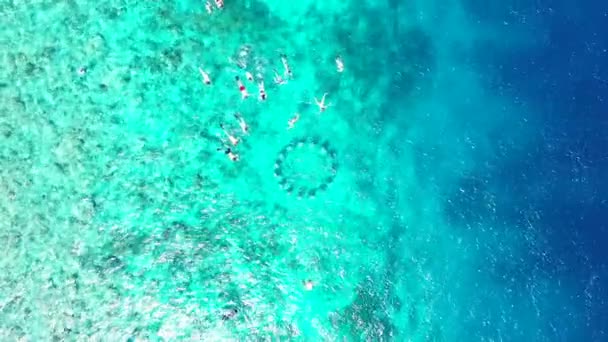 Vista Superior Los Turistas Del Snorkeling Viaje Verano Australia — Vídeo de stock