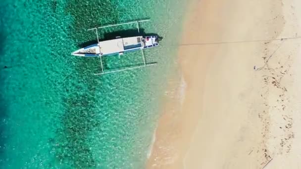 Patrząc Trasparent Wody Morskiej Widokiem Dno Relaks Bali — Wideo stockowe