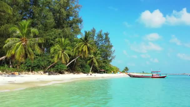 Zielone Palmy Plaży Tropikalny Raj Bali Indonezja — Wideo stockowe