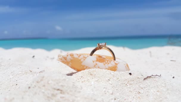 Anello Dorato Con Conchiglia Sulla Spiaggia Natura Soleggiata Delle Barbados — Video Stock