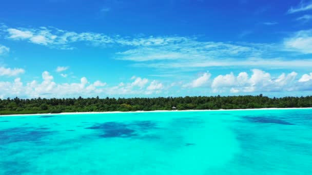 海辺のエリアを観察 ドミニカ共和国 カリブ海の夏の熱帯の風景 — ストック動画