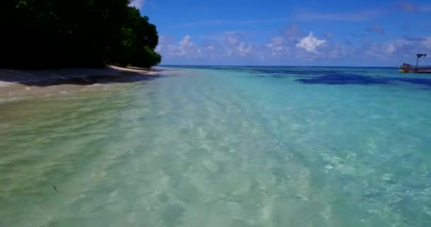 晴れた海岸線の景色 バリ島の牧歌的な自然 — ストック動画