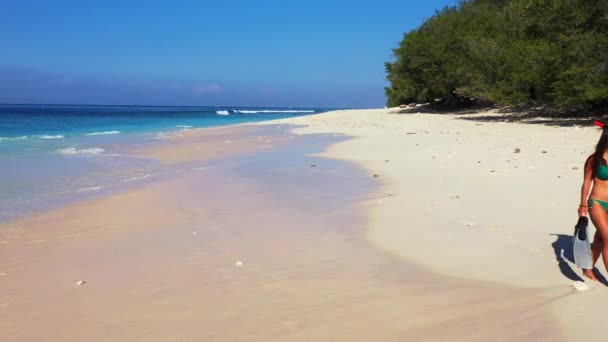 Femme Tenant Des Palmes Équipement Sur Plage Été — Video