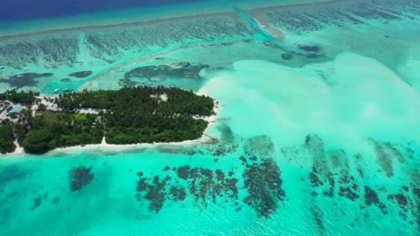 Вид Сверху Зеленого Острова Синим Бирюзовым Морем Экзотическое Путешествие Мальдивы — стоковое видео