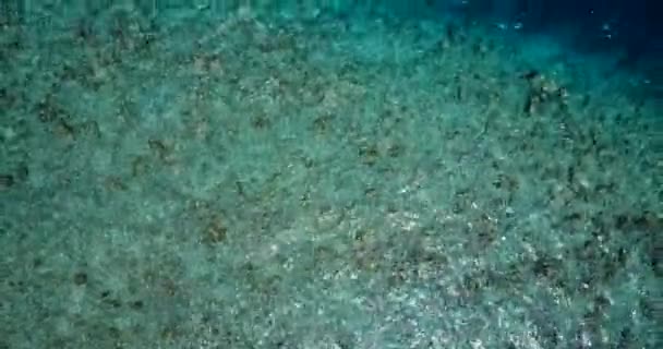 Ovanifrån Krusat Grunt Vatten Naturen Fiji Oceanien — Stockvideo