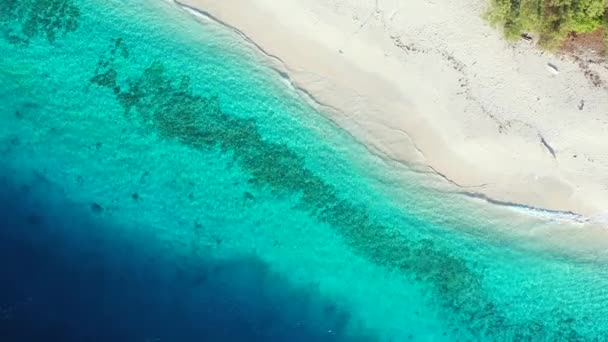 Bovenaanzicht Van Turquoise Kustlijn Zomer Reis Naar Malediven — Stockvideo
