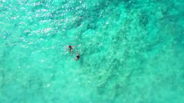 Съемки Воздуха Двух Женщин Плавающих Океане — стоковое видео