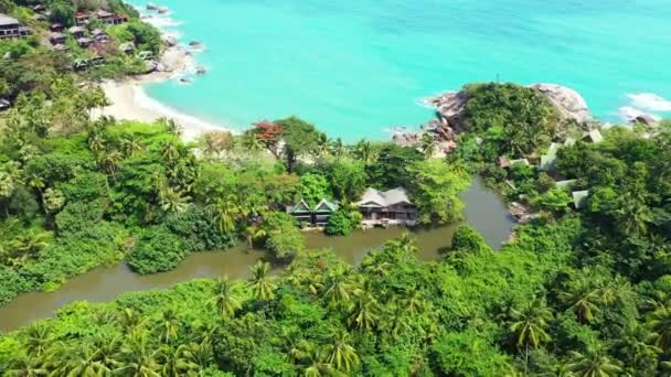 Adadaki Yemyeşil Deniz Manzaralı Jamaika Karayipler Doğa Sahnesi — Stok video