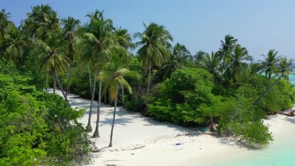 Des palmiers verts luxuriants sur l'île. Voyager en Indonésie .