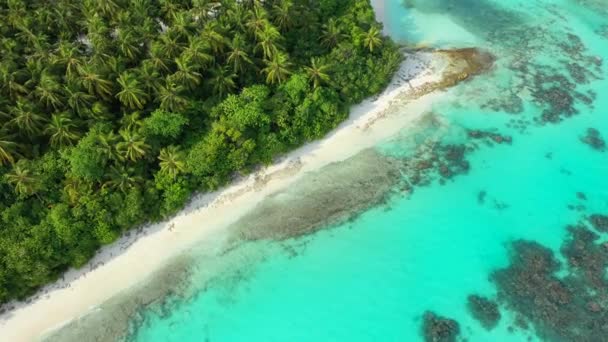 Яскраве Бірюзове Море Височіє Тропічному Острові Exotic Nature Bora Bora — стокове відео