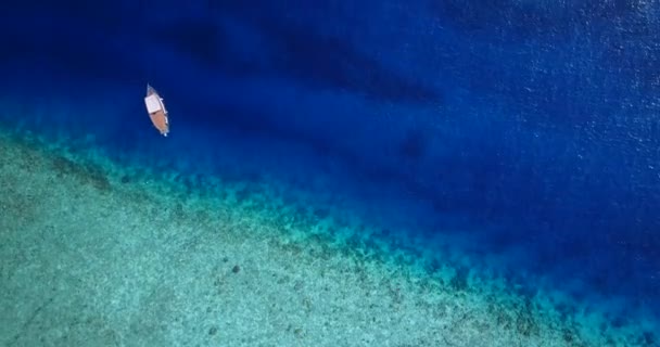 Naturlig Bakgrund Porlande Havsvatten Exotisk Resa Till Barbados Karibien — Stockvideo