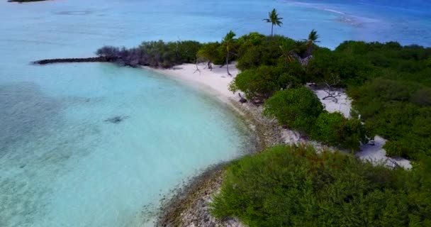 Vista Diurna Marina Tropical Naturaleza Soleada Barbados Caribe — Vídeos de Stock