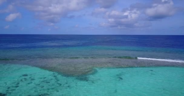 海の水をさざ波の上を飛ぶ インドネシア バリの自然 — ストック動画