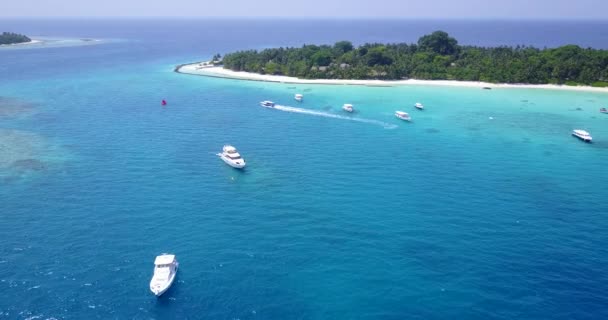 Γιοτ Επιπλέουν Κοντά Στο Νησί Θερινή Σκηνή Στη Δομινικανή Δημοκρατία — Αρχείο Βίντεο
