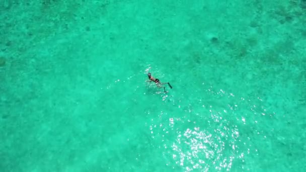 Homme Plongeant Apnée Dans Une Mer Tropicale Dessus Récif Corallien — Video