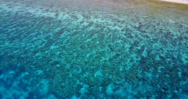 Πετώντας Κατά Μήκος Ρηχά Νερά Στην Παραλία Θερινός Παράδεισος Στην — Αρχείο Βίντεο