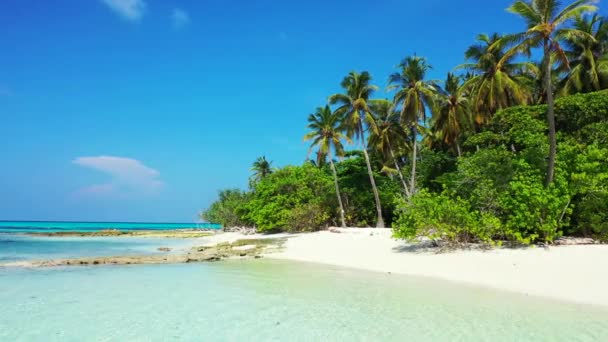 Video Dell Isola Tropicale Con Spiaggia Sabbia Bianca Palme Acqua — Video Stock