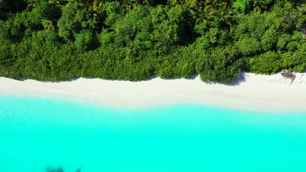 Jelas Pulau Tepi Laut Pirus Perjalanan Eksotis Barbados Karibia — Stok Video