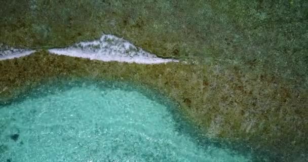 Scheurende Zee Natuurlijke Achtergrond Zonnig Karakter Van Barbados Caribisch Gebied — Stockvideo