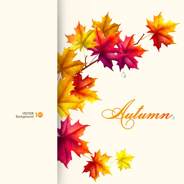 Outono abstrato fundo com folhas . —  Vetores de Stock