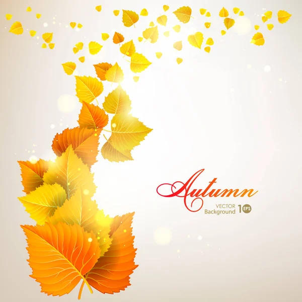 Fondo de otoño abstracto con hojas . — Vector de stock