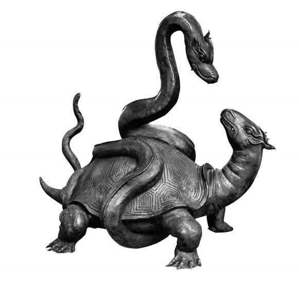 Bir kaplumbağa üzerinde yılan