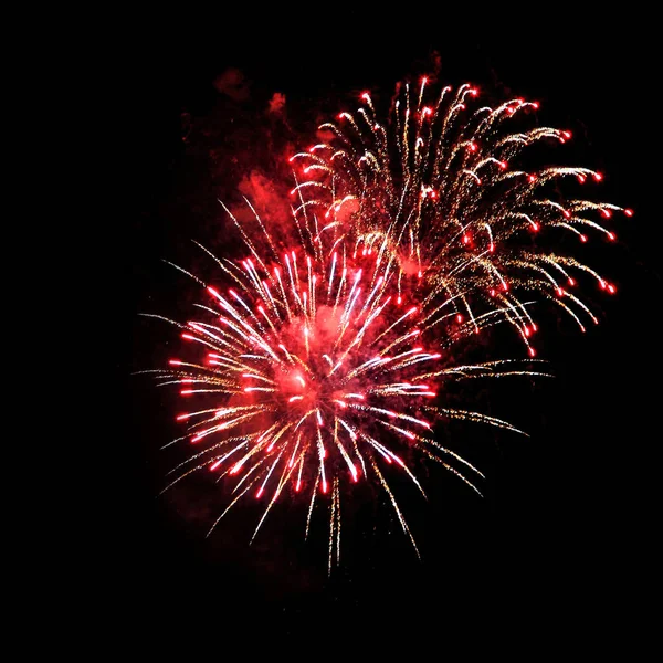 Gece havai fişek farklı renkleri siyah bir zemin üzerine