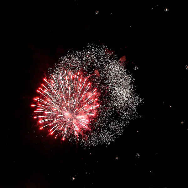 Gece havai fişek farklı renkleri siyah bir zemin üzerine