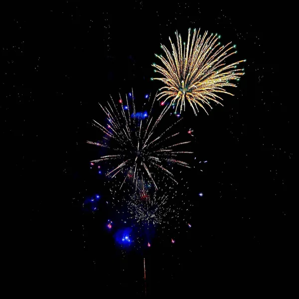 Gece havai fişek farklı renkleri siyah bir zemin üzerine