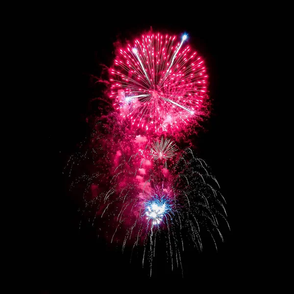 Gece havai fişek farklı renkleri siyah bir zemin üzerine