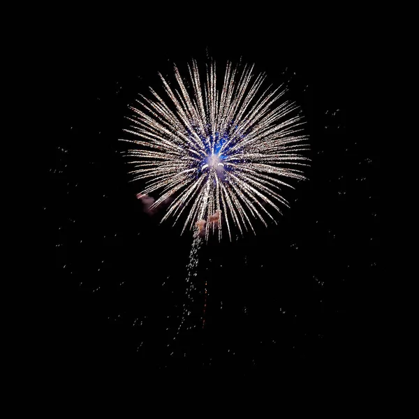 Gece havai fişek farklı renkleri siyah bir zemin üzerine