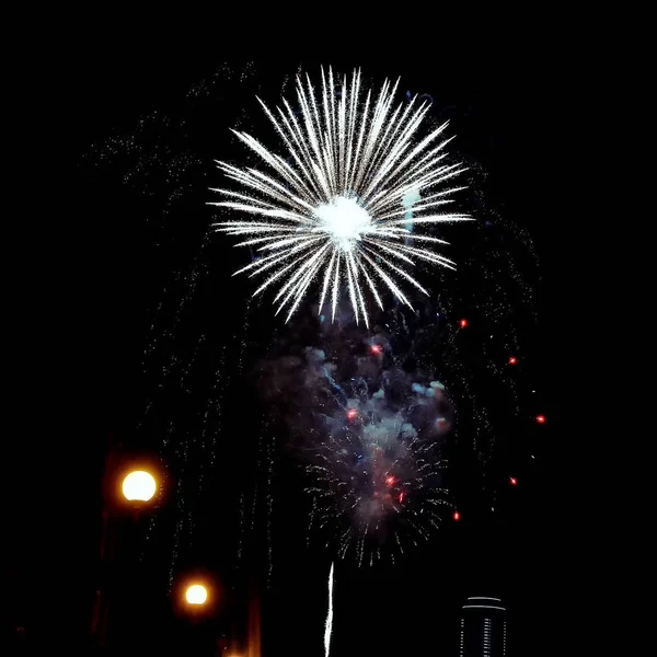 Gece havai fişek farklı renkleri siyah bir zemin üzerine