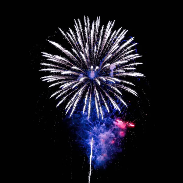 Gece havai fişek farklı renkleri siyah bir zemin üzerine