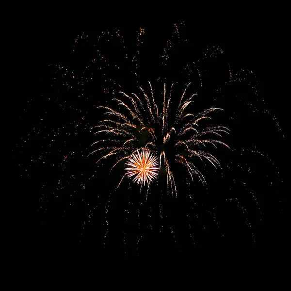 Gece havai fişek farklı renkleri siyah bir zemin üzerine