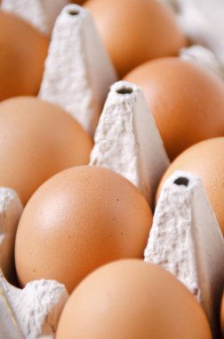 Bir karton yumurta yakın çekim