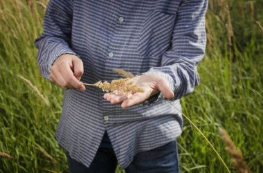 Yüksek otların arasında duran kişi.