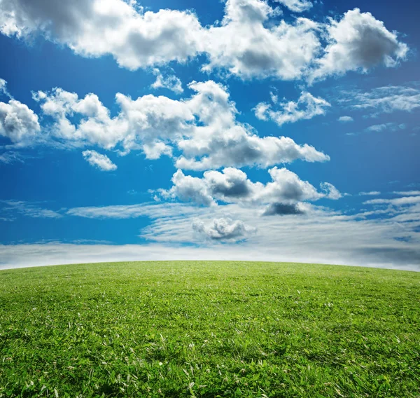 Simple beautiful nature background with green grass and blue vivid sky with clouds.