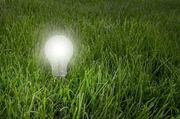 Light bulb glowing in the grass at night. Green energy concept.