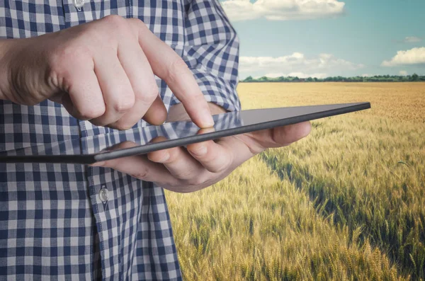 Ziraat Mühendisi tablet dokunmatik yüzey bilgisayar tutar