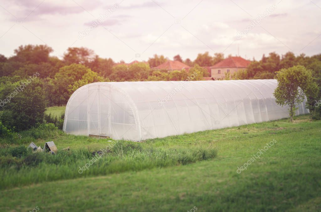 Plastic greenhouse for vegetable cultivation