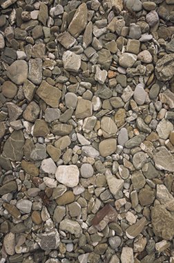 Çakıl taşlarıyla soyut bir arkaplan. Deniz taşı arkaplanı.