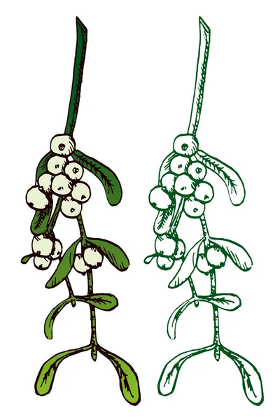 Комплект омелы, нарисованные вручную каракули — стоковый вектор