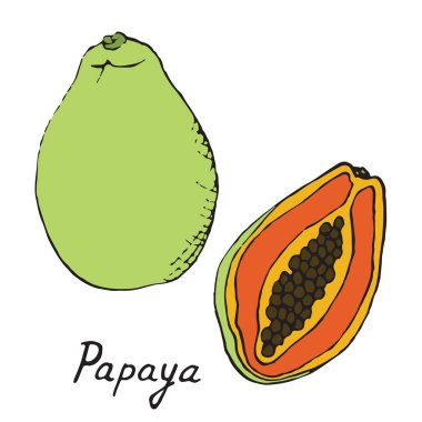 Papaya ve dilimlenmiş parça, elle çizilmiş doodle
