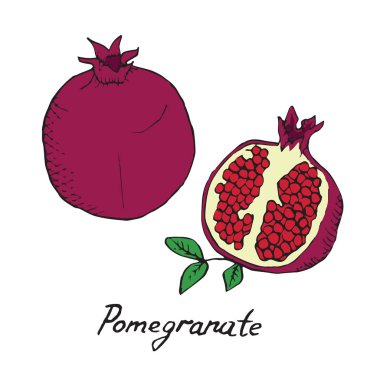 Nar ve dilimlenmiş parça, elle çizilmiş doodle