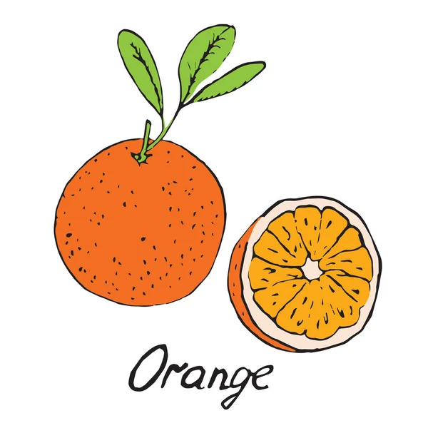 Oranje en gesneden stuk, hand getrokken doodle — Stockvector