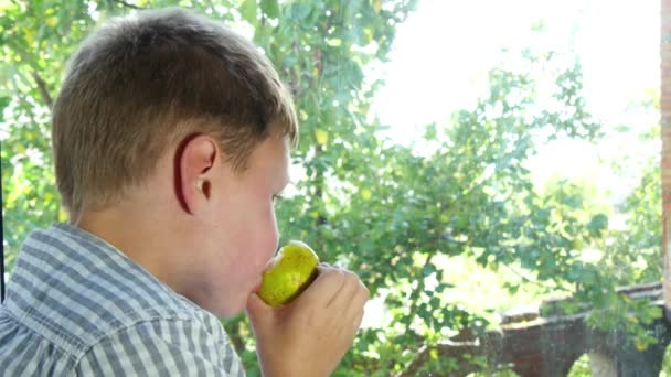 少年食用リンゴとウィンドウを見て — ストック動画
