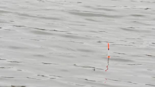 Bobina de pesca en el agua — Vídeo de stock